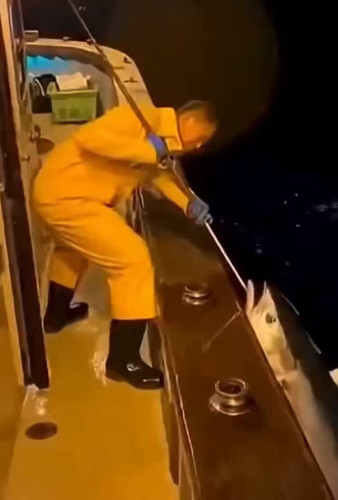 HApSUHN8RDbNnfAJ.jpg
