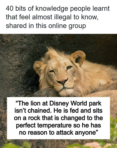 information feels illegal to know.jpg