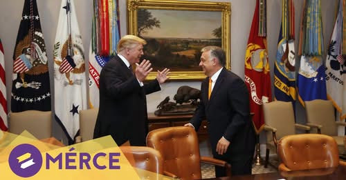 1295312397343311967?url=https%3A%2F%2Fd3knx7v8i1y46b.cloudfront.net%2F2019%2F05%2FD KOS20190513003 1.jpg