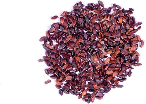 61hukrY9EaL. SX679 .jpg