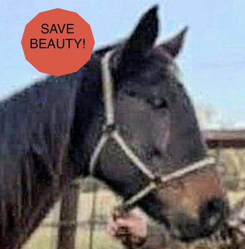 G nZFiWWwAAE24G?format=jpg.jpg