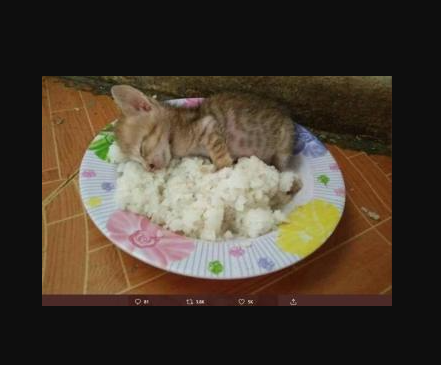 c6c67517 3f41 4c9e a05e a2686ec4cfec.png