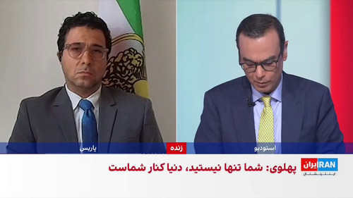 gz85QtJ TNttYpsi.jpg