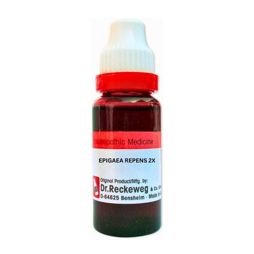 EPIGAEA REPENS 2X Q 20 ML RECKEWEG.jpg