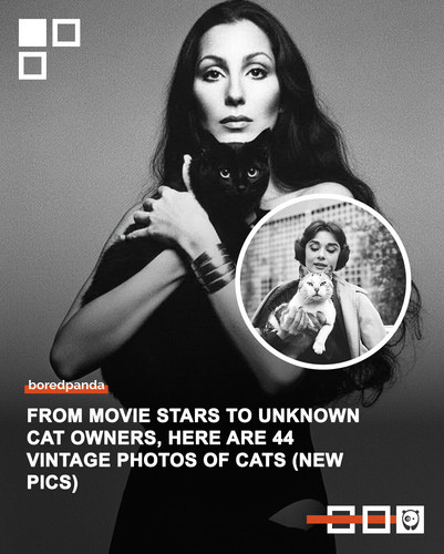 cats famous people photographs allvintagecats part 5.jpg