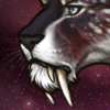 IMG 3851.png