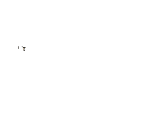 IMG 3850.png