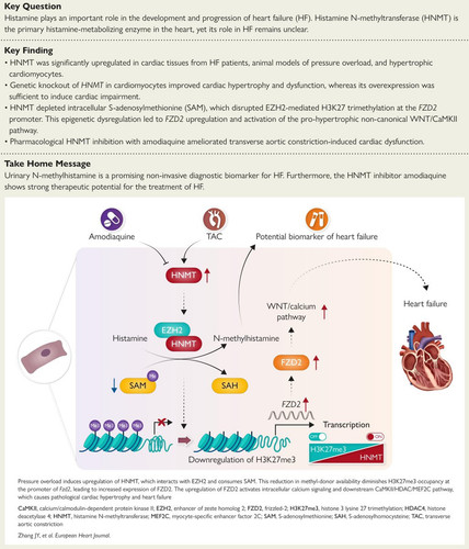 G fngjPWUAAnuHL?format=jpg.jpg