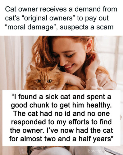 cat scam saga sharing.jpg