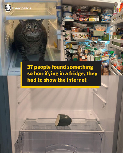 inside unusual fridge anatomiedunfrigo sharing.jpg