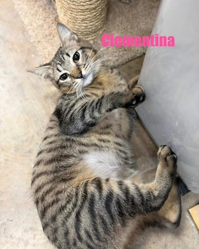 G eTuNXXkAALge3?format=jpg.jpg