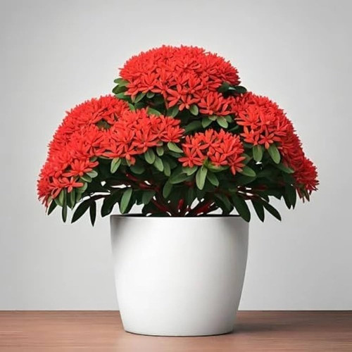 41G8BsREpgL. AC UF1000,1000 QL80.jpg