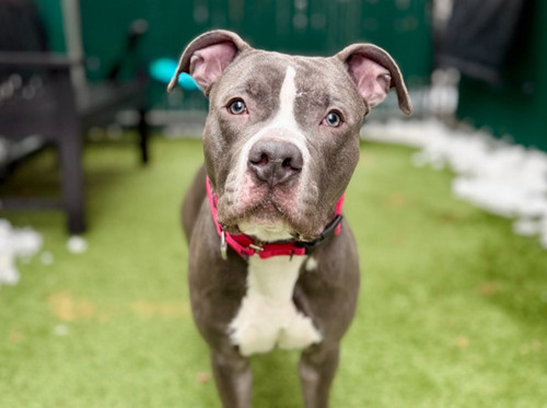 G qGp8XMAEARgb?format=jpg.jpg