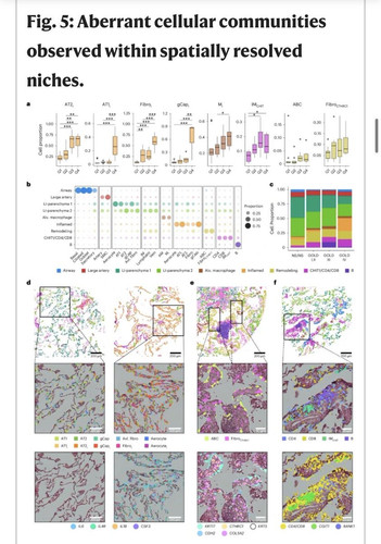 G dCiayWAAAI1U9?format=jpg.jpg