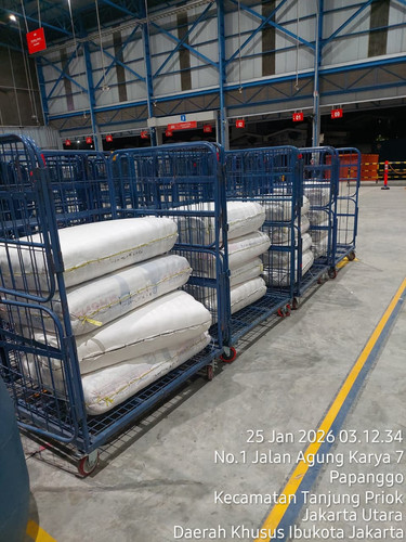 WhatsApp Image 2026 01 26 at 00.19.53.jpg