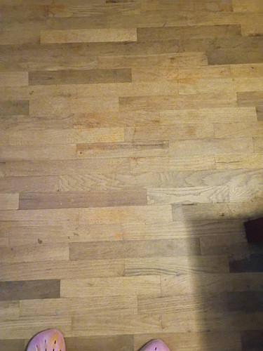 2305ffb8e602.jpg