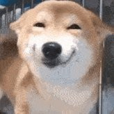 G hlK 2bEAA1Iu8.jpg