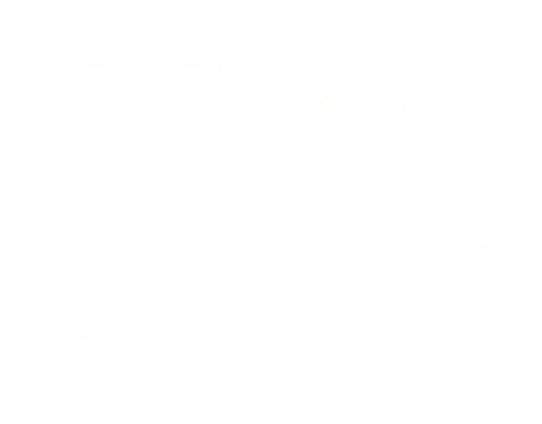 customdecors mngwa 71.webp