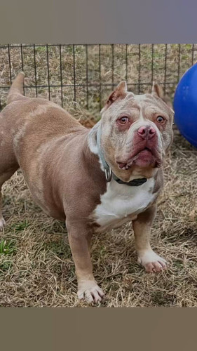 aXU sjH9nMYTB8Bv.jpg