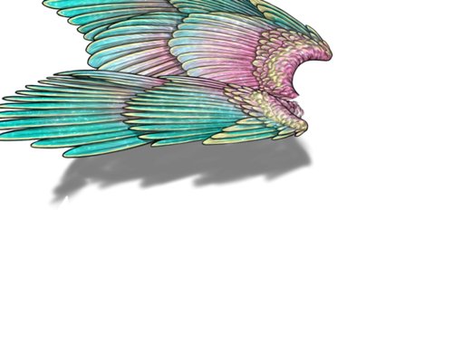 decennial f adult.png