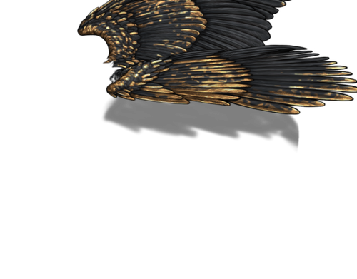 black gold m adult.png