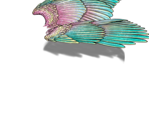 decennial m adult.png