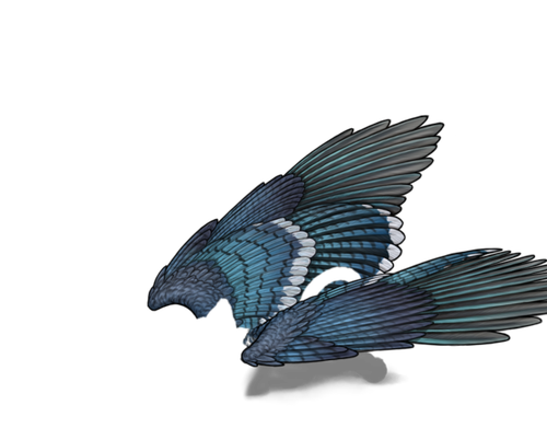 bluejay cuby.png