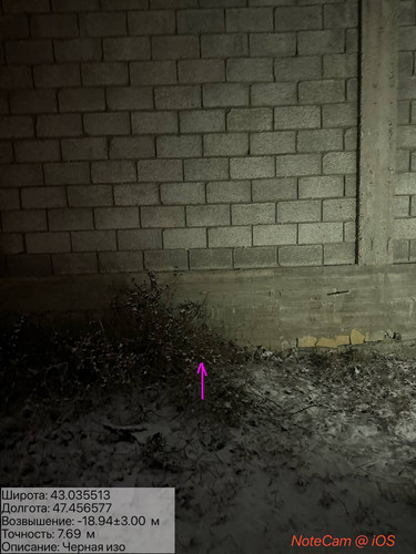 photo 6 2026 01 27 02 13 14.jpg