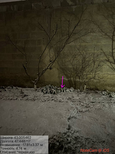 photo 1 2026 01 27 02 13 14.jpg