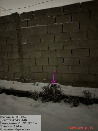 photo 9 2026 01 27 02 13 14.jpg