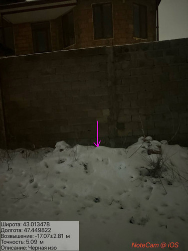 photo 19 2026 01 27 02 13 14.jpg