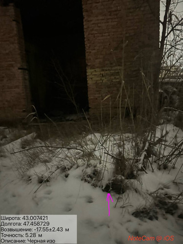 photo 25 2026 01 27 02 13 14.jpg