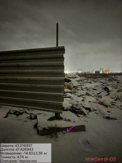 photo 31 2026 01 27 02 13 14.jpg