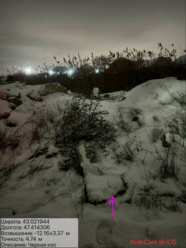 photo 37 2026 01 27 02 13 14.jpg