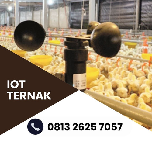 IoT (10).jpg