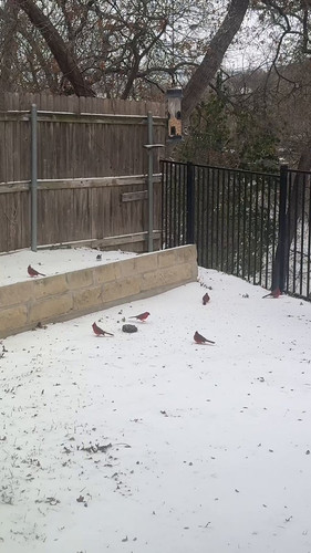 quQMEoc1n c2IJTB.jpg