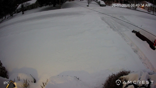 Front Yard IPC main 20260126064940 @6.jpg