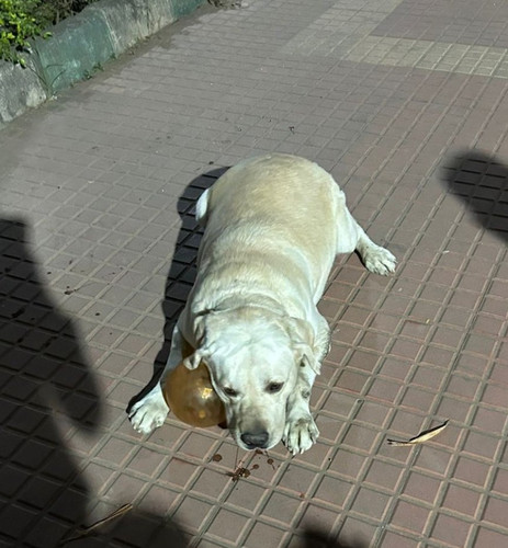 G lj7tgbsAAIbF3?format=jpg.jpg