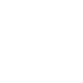 flower icon.png