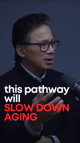 VS 37AsLouZRCIyL.jpg