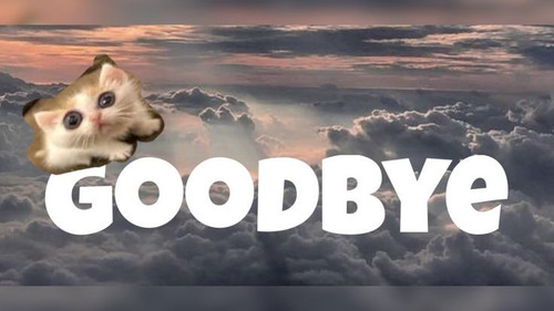 Goodbye banner with cat (made by Beck).jpg