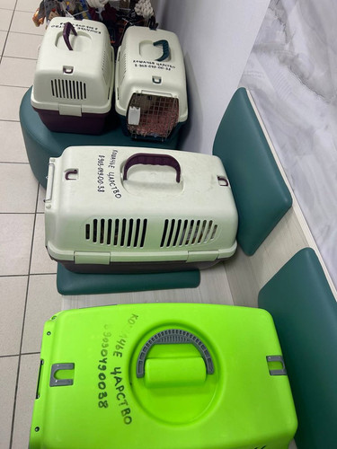 G hOihzWsAAuioE?format=jpg.jpg