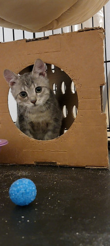 G id2dJWkAELjNl?format=jpg.jpg