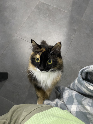 G hnHTcWIAAWJ5o?format=jpg.jpg