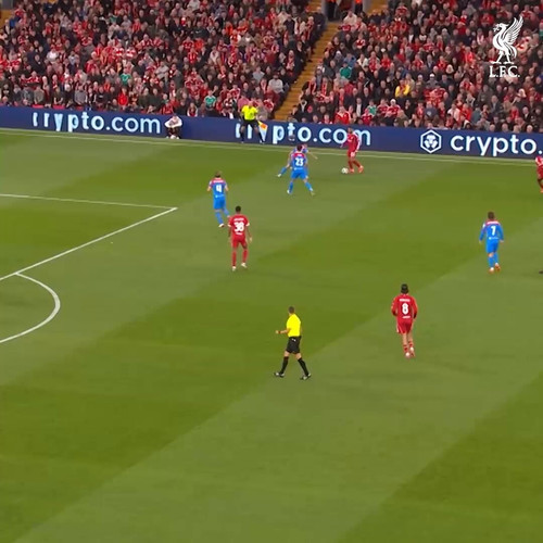 7OGm 8yFWe9cfWQh.jpg