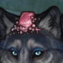1000115105.png