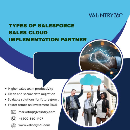 Types of Salesforce Sales Cloud Implementation Partner.jpg