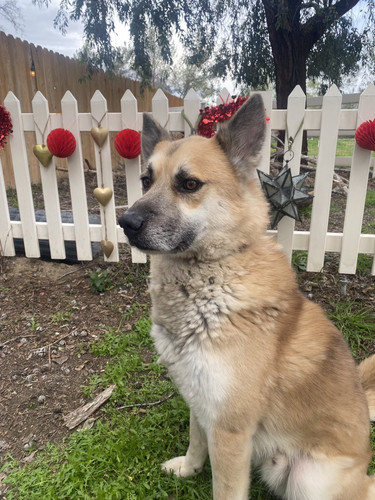 G cVMoJXUAEv7cD?format=jpg.jpg