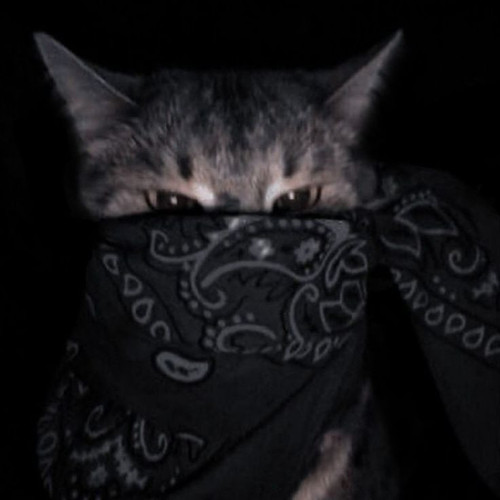 363fcf0dd0c1.jpg