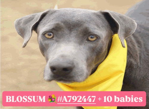 G htx6CXUAA9DV2?format=jpg.jpg